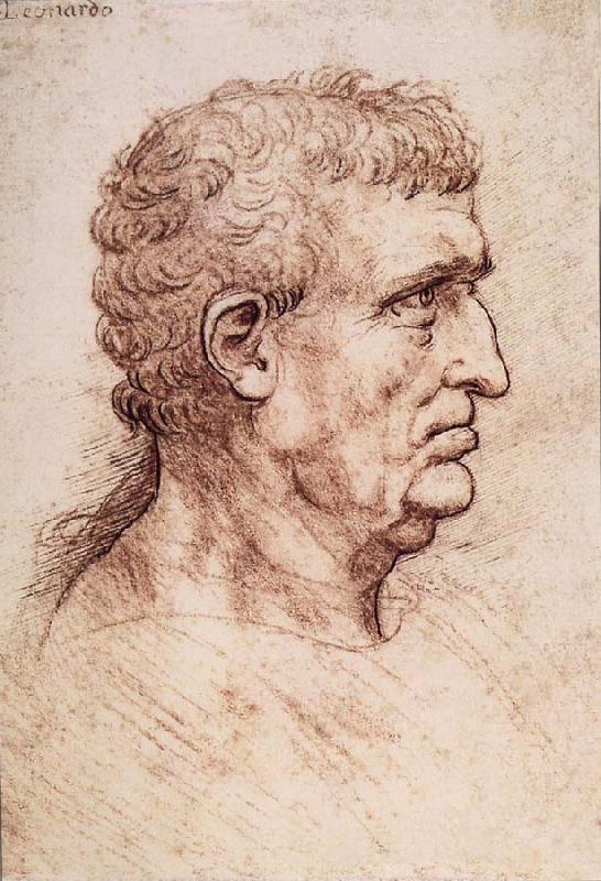 LEONARDO da Vinci Profile of a man oil painting image